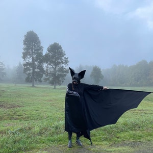 Victoria hat ein Foto des gekauften Artikels hinzugefügt
