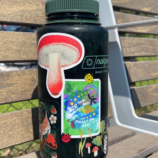 Red Fish Sticker, Soldierfish Vinyl Vintage Stickers, Bumper Sticker ...