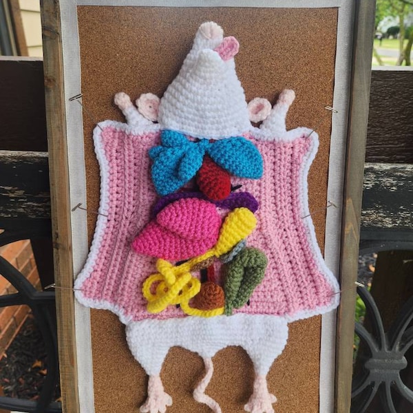 Crochet Rat Dissection Pattern, PDF Digital Download, Biology Amigurumi ...