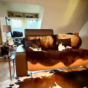 Todd added a photo of their purchase