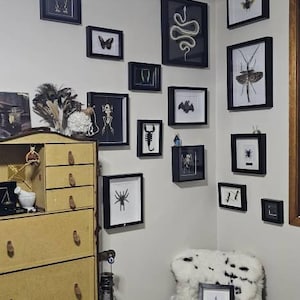 Leah さんが購入した商品の写真を追加しました