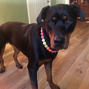 Amy added a photo of their purchase