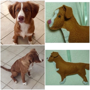 Marcy added a photo of their purchase