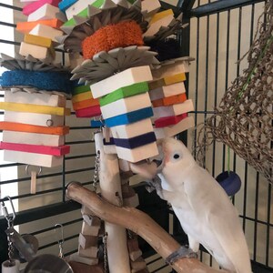Jesse added a photo of their purchase