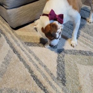heidi added a photo of their purchase