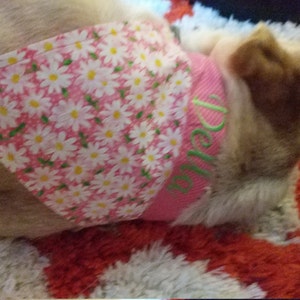 Autumn added a photo of their purchase