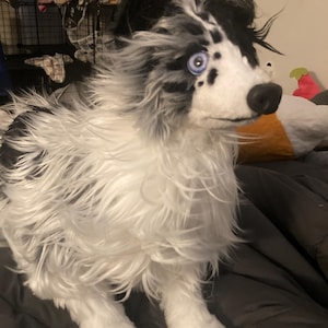 Olive added a photo of their purchase