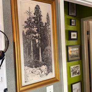 Elizabeth added a photo of their purchase