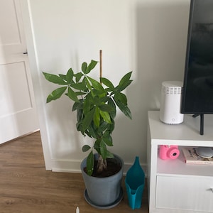 Iyanna ha añadido una foto de su compra