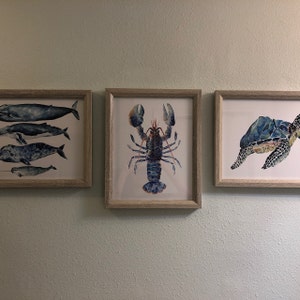 Abigail added a photo of their purchase