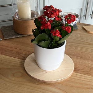 Geraldine added a photo of their purchase