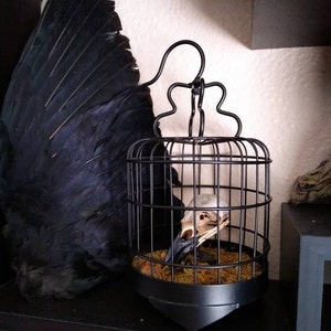 Rebecca added a photo of their purchase