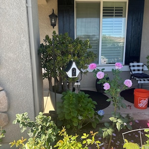 Diane added a photo of their purchase