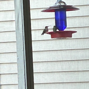 Curt added a photo of their purchase