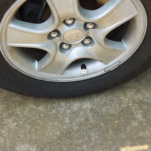 Kaleigh added a photo of their purchase