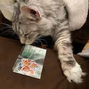 Nicole added a photo of their purchase