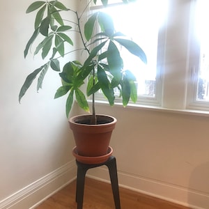 Cassaundra ha añadido una foto de su compra