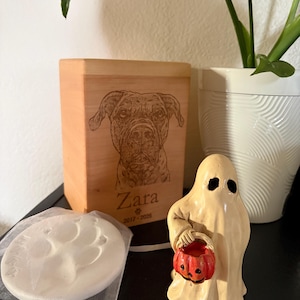 Sierra added a photo of their purchase