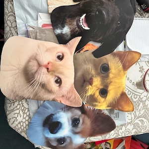 Tammy added a photo of their purchase