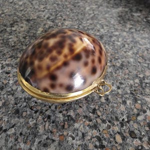 oso added a photo of their purchase