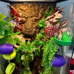 Samantha added a photo of their purchase