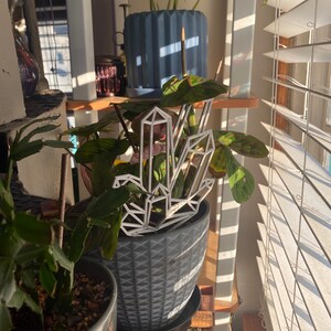 Casey added a photo of their purchase