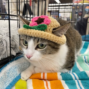 Sasha added a photo of their purchase