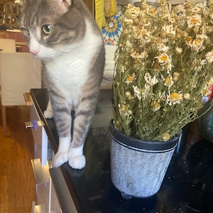 Comprador de Etsy ha añadido una foto de su compra