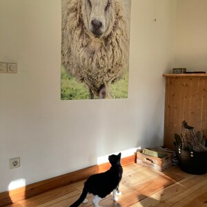 Paulien added a photo of their purchase