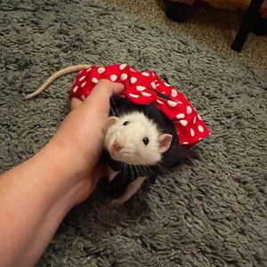 Minnie Costume for Pet Rats, Halloween Pet Costume, Rat Costume