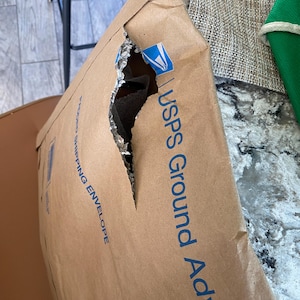 Bernadette added a photo of their purchase