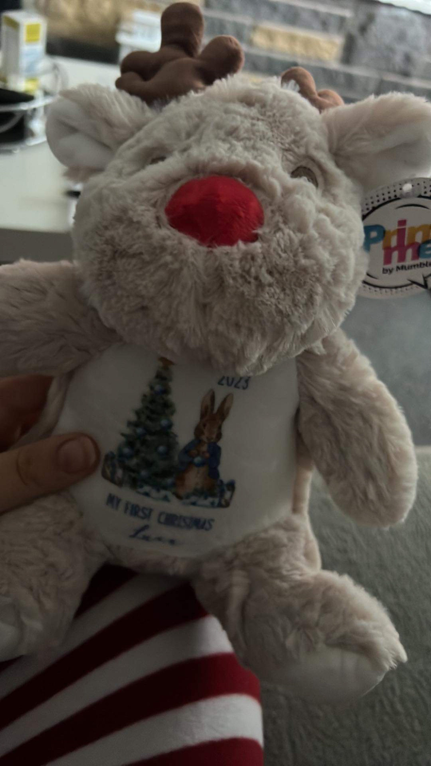 Personalised Small Rudolf Reindeer Christmas Teddy Bear Plushie Baby&#39;s First 1st Xmas Children&#39;s Kids Name Gift Present Keepsake