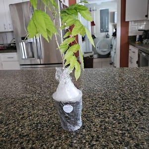 Mary added a photo of their purchase