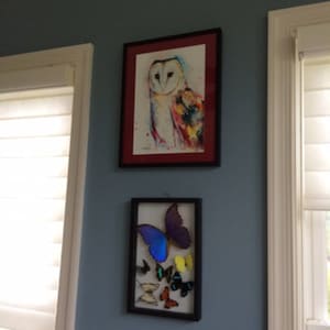 S added a photo of their purchase