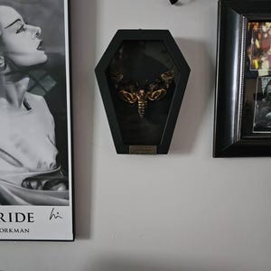 John a ajouté une photo de son achat