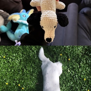 Vivian added a photo of their purchase