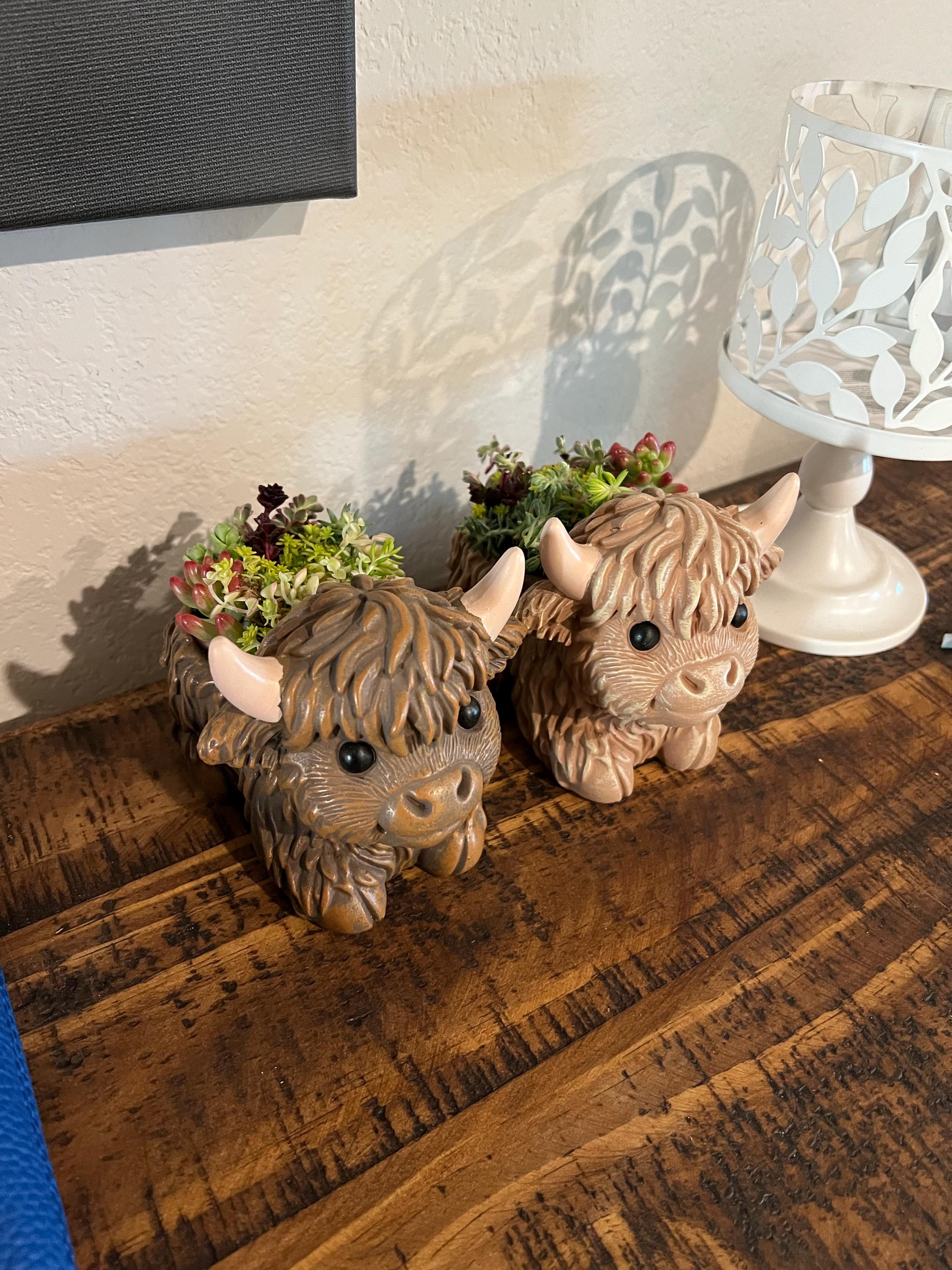 Mini Highland Cow Succulent Arrangement – Cute Succulent Planter, Farmhouse Decor, Unique Gift, Succulent Cow, Handcrafted Planter for Home