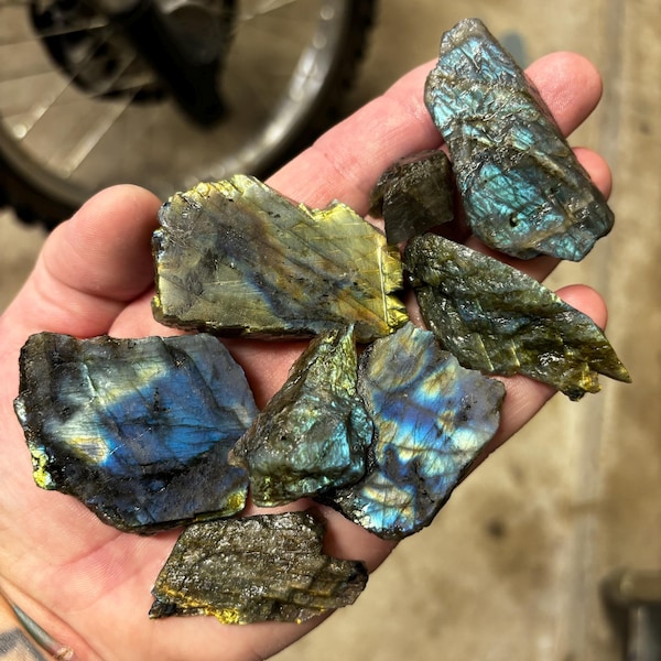 Natural Opalized Ammonite Specimen, Fossil Quartz Crystal, Mineral ...