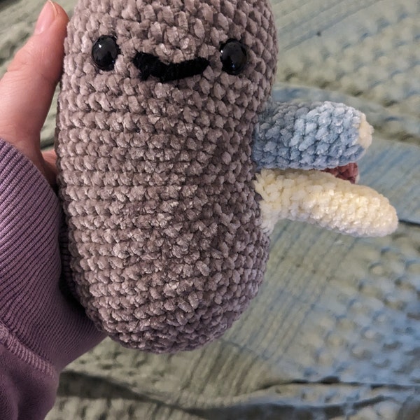 Free Crochet Kidney Pattern Anatomical Kidney Crochet Pattern! PATTERN ONLY Instant DOWNLOAD ...