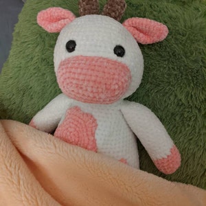 Alana added a photo of their purchase