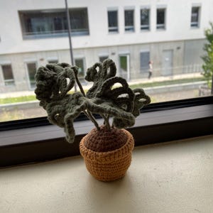 Anais added a photo of their purchase