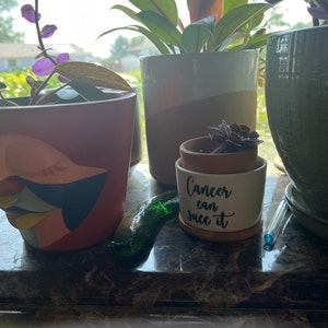 Carol added a photo of their purchase