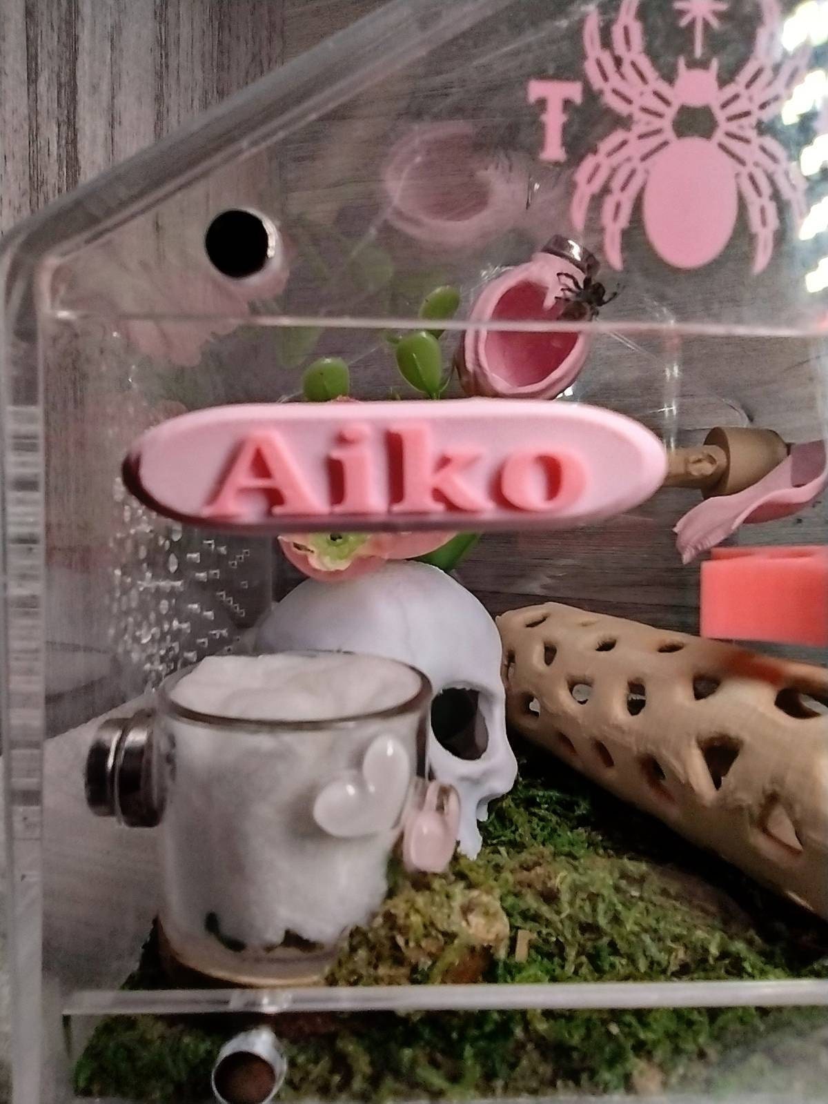 3D printed Magnetic Name Plate Jumping Spider Small Terrarium Decor