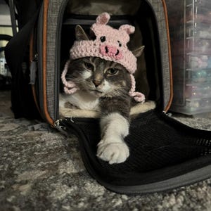 Chapeau d'Halloween en laine pour animal de compagnie - Bonnet doux en tricot pour chat mignon - Costume de Noël - Accessoires pour chiot, chat