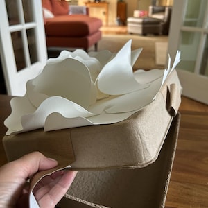 Jean added a photo of their purchase