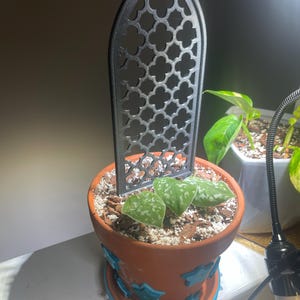 Sharonda added a photo of their purchase