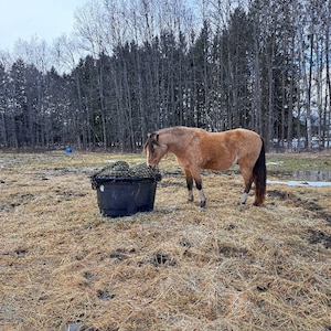 Sue ha aggiunto una foto del proprio acquisto