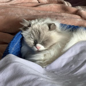 Missy ha añadido una foto de su compra