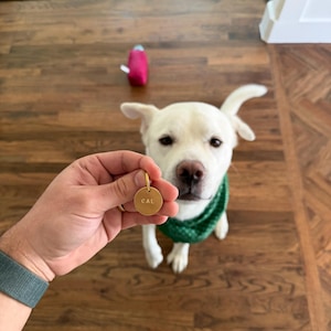 Sal a ajouté une photo de son achat