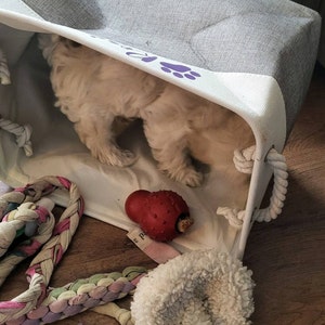 Susan added a photo of their purchase